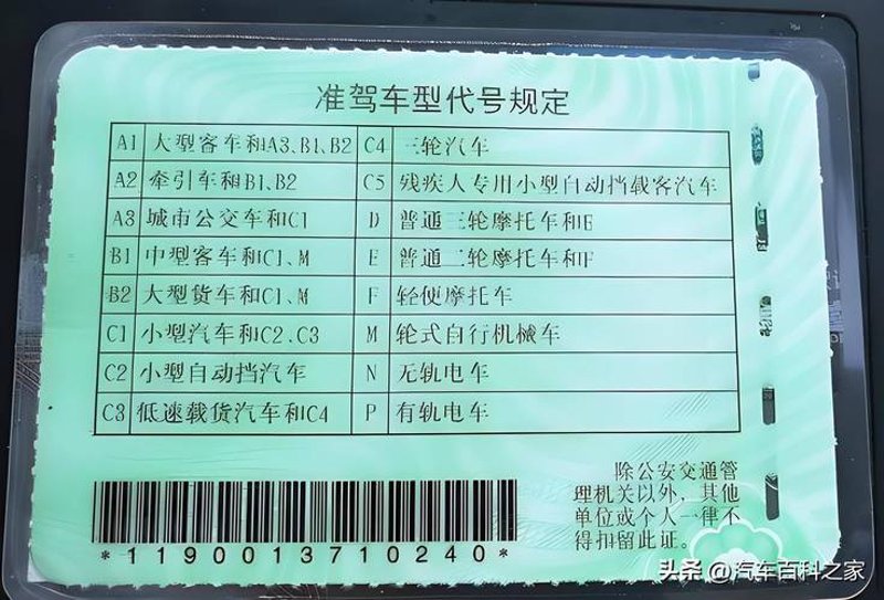 学车报名：走进驾驶新世界